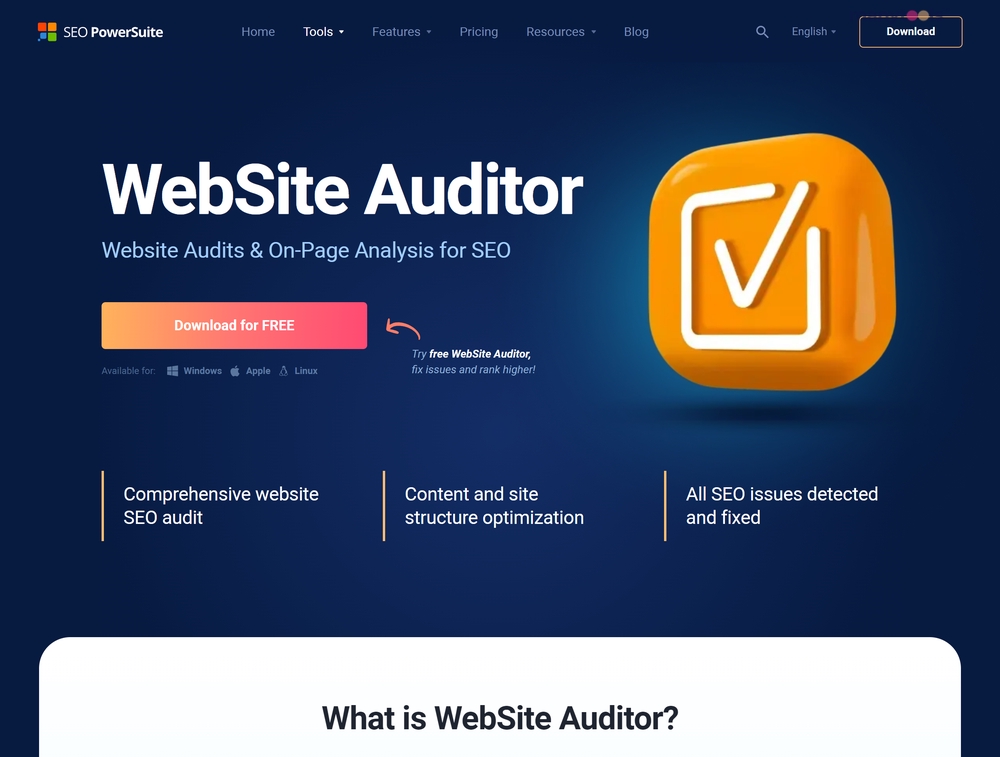 Website Auditor