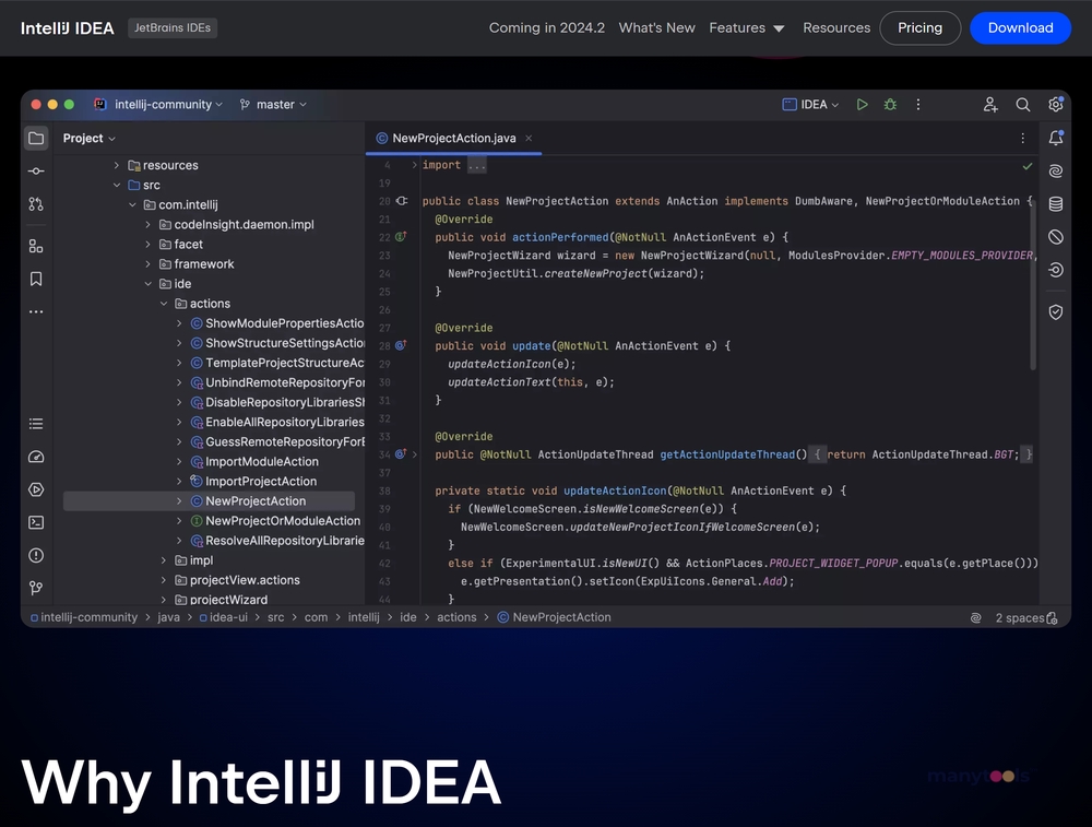 IntelliJ IDEA