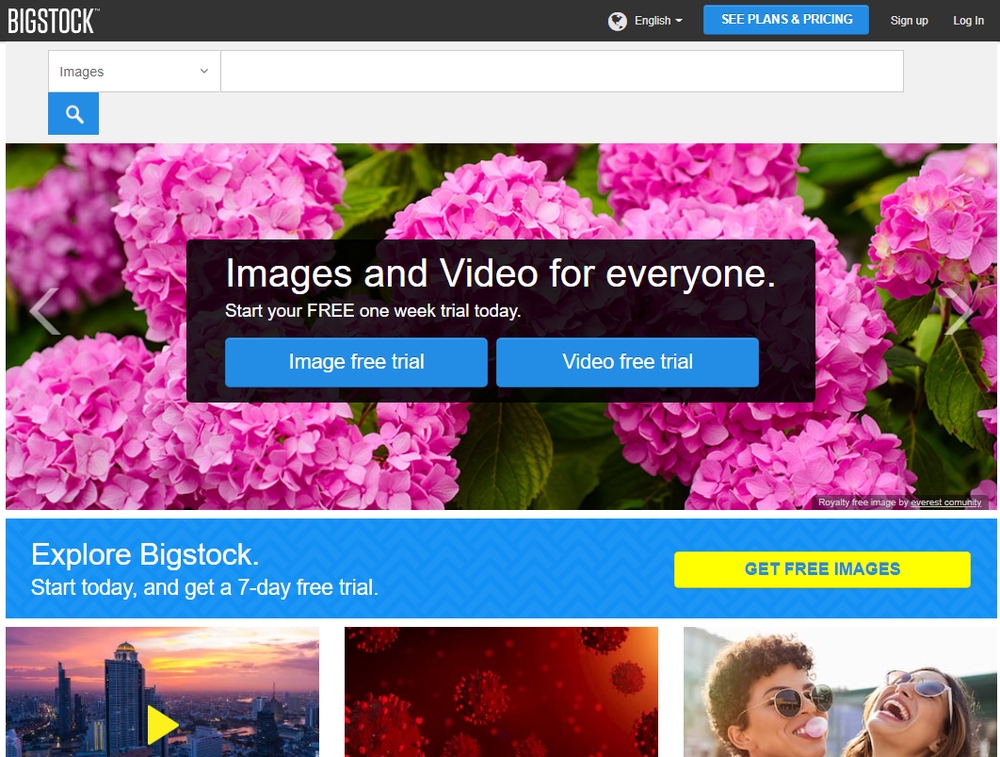 BigStockPhoto & 41+ Stock Photos & Videos Sites Like Bigstockphoto.com