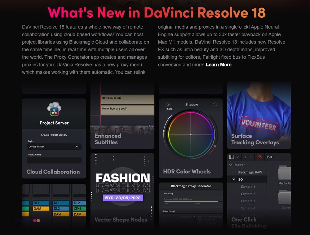 DavinciResolve