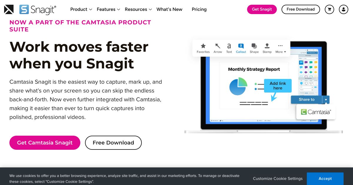 Snagit screenshot 1