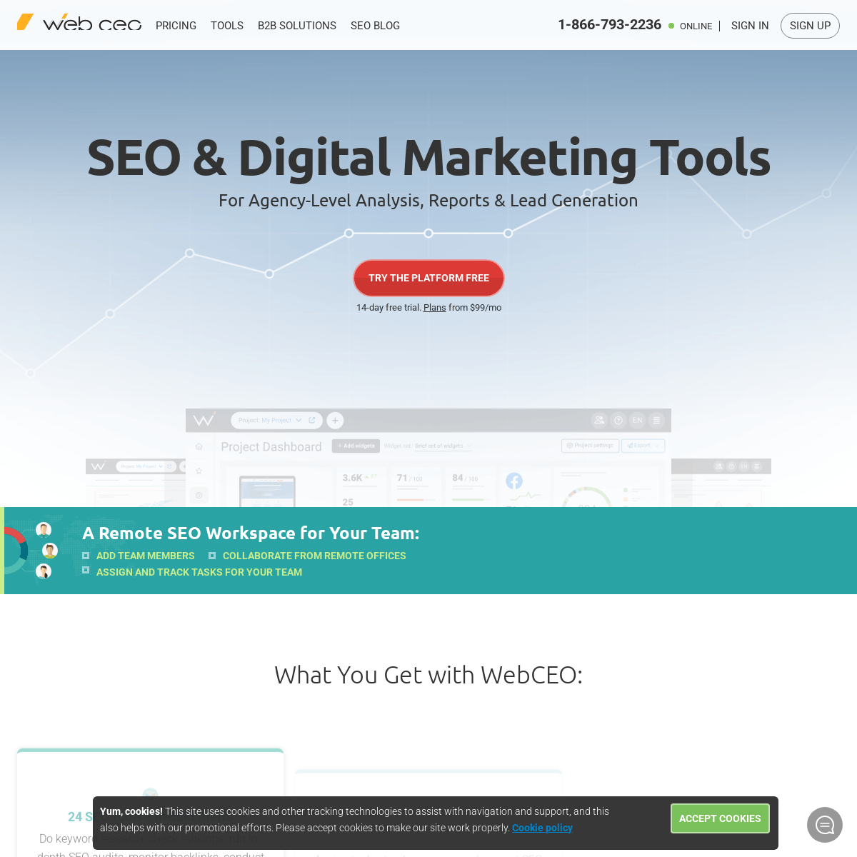 WebCEO