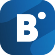 BidVertiser